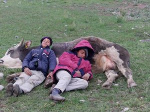 Ana kucağı gibi yumuşak, ana kucağı gibi sımsıcak