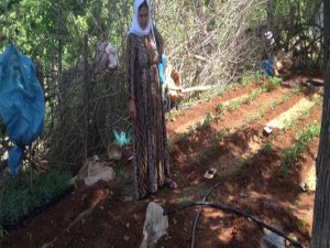 Büyükşehir'den topraksızlara toprak