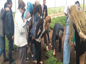 Ziraat Fakültesinden Diyarbakır ekonomisine sektörel destek