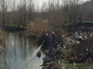 Haşereyle mücadelede ekolojik denge