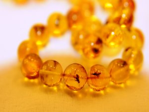 "Fosilli tespihe" özel koruma