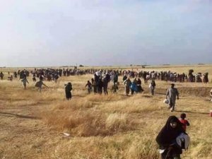 90 çekdarên DAIŞê ji aliyê hêzên iraqî ve hatin girtin