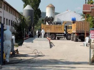 Kuş gribi bu kez de Bursa'ya sıçradı