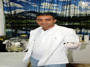 ALTERNATİF DOKTORLAR, SÜLÜKLER…