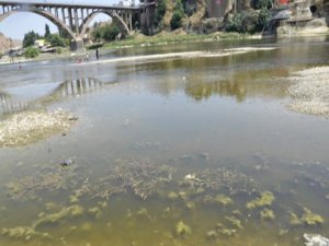 Dicle Nehri ölüyor