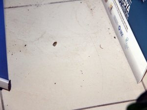 DİYARBAKIR ADLİYESİ'NE MERMİ İSABET ETTİ