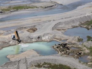 Karne sevinci ölüme götürdü