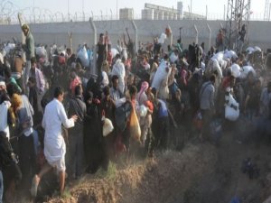 Sınır kapısı tekrar açıldı