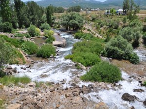 GÖZELERİN KORUNMASI İÇİN VALİYLE GÖRÜŞTÜLER