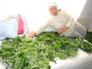 ASLINDA HER KADIN EVİNDE YAPABİLİR