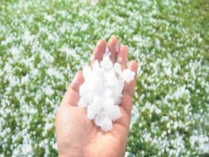 Tarımı şimdi de aşırı yağış ve dolu vurdu