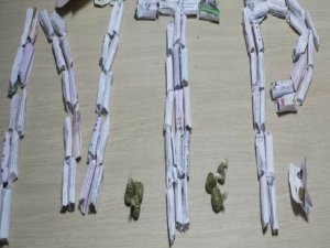 TORBACILARA OPERASYON