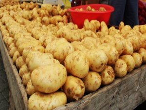 Patates fiyatı normale dönüyor