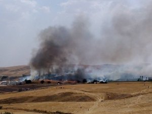 BİR YILIN EMEĞİ KÜL OLDU