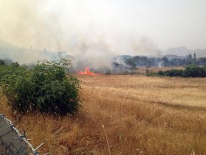 KULP'TA 100 DÖNÜMLÜK BUĞDAY TARLASI KÜL OLDU