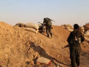 Li hemberî Girê Spî êrîşa hewanan