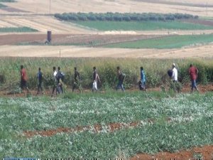 Sınırlar yol geçen hanı gibi