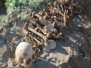 Kulp davasında ilginç savunma