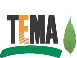 TEMA'dan yangınlara dair açıklama