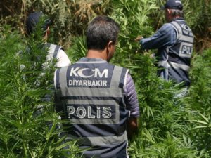 DİYARBAKIR’DA UYUŞTURUCU OPERASYONU