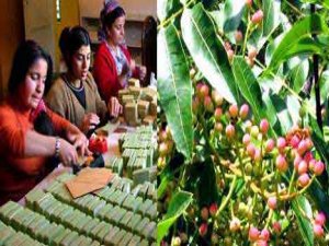 50 YILDIR HEM KULLANIYOR HEM SATIYOR