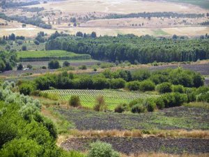 Hevsel Bahçeleri yeniden hayat buluyor