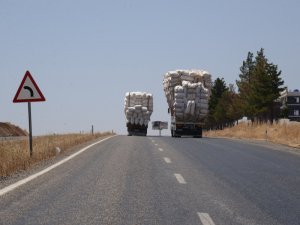 Saman yüklü kamyonlar tehlike saçıyor
