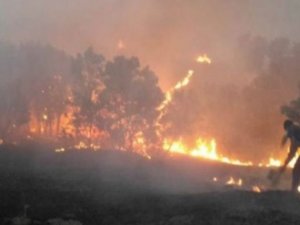 Lice'deki büyük yangın söndürülürken, başka bir yerde yeniden yangın çıktı