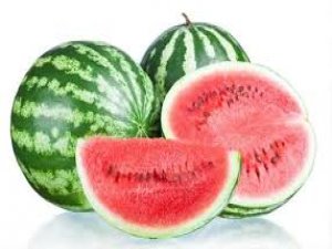 Karpuz tezgahta 20 kuruşa düştü