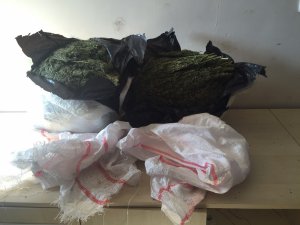 UYUŞTURUCUDA 11 OPERASYON, 10 TUTUKLAMA