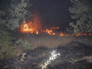 Canlı kalkanların bulunduğu alanlar bombalandı