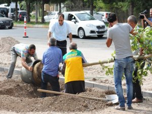 DİYARBAKIR’DA HAYAT KALDIĞI YERDEN DEVAM EDİYOR