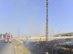 3 ayda bin 605 anız yangınına müdahale