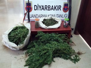 UYUŞTURUCU OPERASYONU