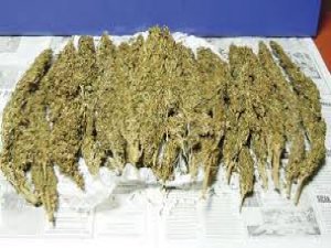 UYUŞTURUCU OPERASYONU