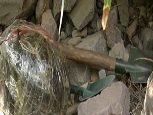 Silvan'da tuzaklanmış el yapımı patlayıcı bulundu