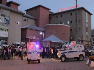 Hakkâri ve Mardin'de 5 şehit