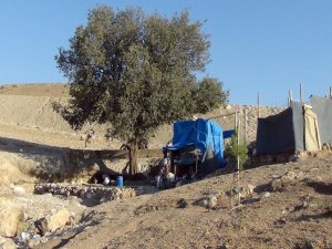 Tek başına ilkel yaşam