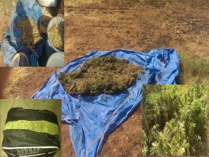 DİYARBAKIR’DA UYUŞTURUCU OPERASYONU