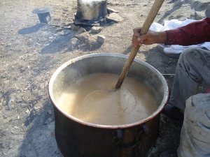 - KULP’TA BAĞ BOZUMU BAŞLADI