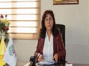 DBP İl Eşbaşkanı İpek hakkında dava açıldı