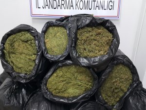 Zehir tacirlerine bir darbe daha