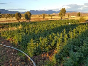 Operasyondan dönen askere pusu