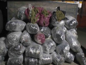 Zehir tacirlerine geçit yok