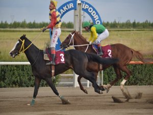 Büyükşehir Koşusu’nun birincisi Elbi oldu