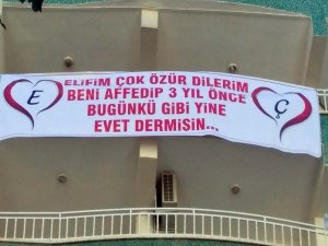 Çılgın aşıktan çılgın özür