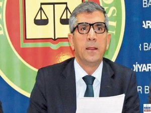 Elçi: gazetecilerin tutuklanması özgürlüğe darbedir