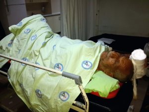 Dere yatağına düşen yaşlı adam ağır yaralandı