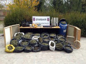 280 kilogram uyuşturucu yakalandı