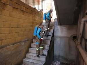 Haliliye’de haşere ile mücadele devam ediyor